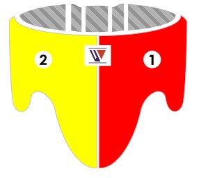 Winning Standard Cut Groin Protector - Custom